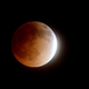 Ilustración para el artículo titulado El último eclipse lunar total (la luna de sangre), en imágenes
